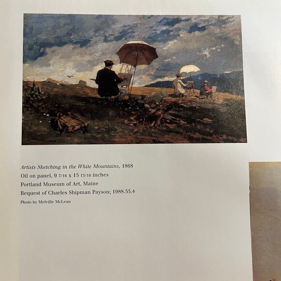 Winslow Homer: His Art, His Light, His Landscapes by Carl Little 1995, Hardcover - Picture 7 of 7